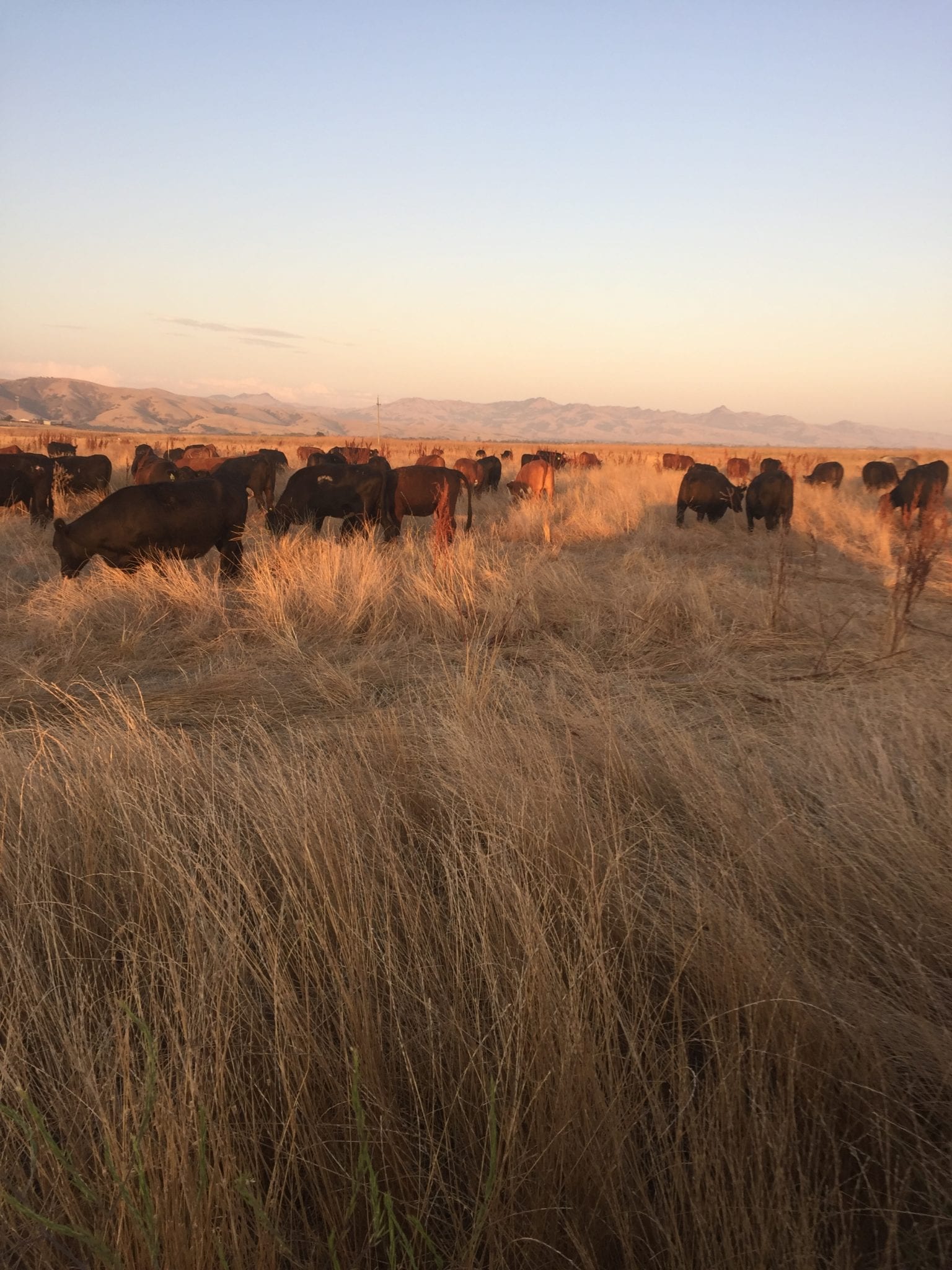 National Farmer Day was Oct 11th