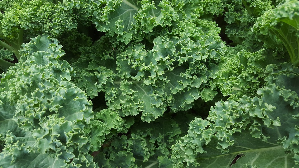 Linguiça & Kale Soup